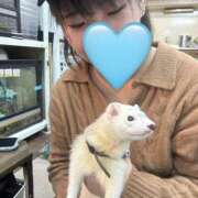 ヒメ日記 2026/03/19 19:08 投稿 もえか 千葉松戸ちゃんこ