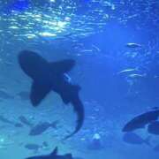 ヒメ日記 2026/03/27 15:09 投稿 もえか 千葉松戸ちゃんこ