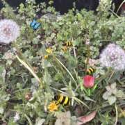 ヒメ日記 2026/04/18 16:32 投稿 もえか 千葉松戸ちゃんこ