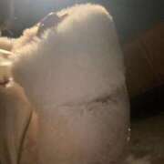 ヒメ日記 2026/02/11 06:12 投稿 らん カクテル(岡山)