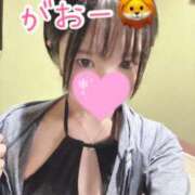 ヒメ日記 2026/01/17 09:29 投稿 みなと MONTE(モンテ)