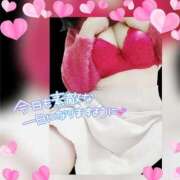 ヒメ日記 2026/02/08 07:46 投稿 めいこ【コマダム】 越谷熟女デリヘル マダムエプロン