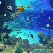 はるみ お礼と来週は。 ～優しい若妻倶楽部～Mrs.女神