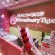 ヒメ日記 2026/02/10 10:40 投稿 るな 京都出張メンズエステChou Chou（シュシュ)