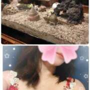 ヒメ日記 2025/12/09 18:48 投稿 一色景子 ミセス・レヴォアール～再会～