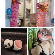 ヒメ日記 2026/02/20 12:18 投稿 一色景子 ミセス・レヴォアール～再会～