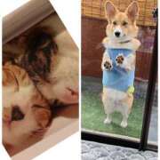 一色景子 朝は2℃だったのに昼は暑いですね ミセス・レヴォアール～再会～