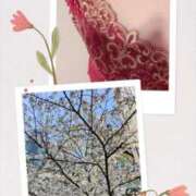 ヒメ日記 2026/03/19 17:43 投稿 一色景子 ミセス・レヴォアール～再会～