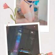 ヒメ日記 2026/04/02 15:50 投稿 一色景子 ミセス・レヴォアール～再会～