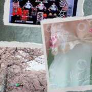 ヒメ日記 2026/04/02 16:13 投稿 一色景子 ミセス・レヴォアール～再会～