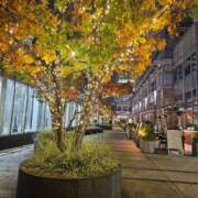 ちひろ 仕事帰りにしっとり…でも身体はまだ欲しがってるの♡ 素人妻達☆マイふぇらレディー