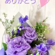 ヒメ日記 2026/02/14 12:40 投稿 ちひろ 素人妻達☆マイふぇらレディー