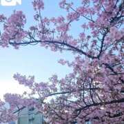 ヒメ日記 2026/02/19 23:18 投稿 ちひろ 素人妻達☆マイふぇらレディー