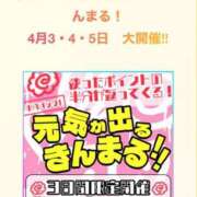 ヒメ日記 2026/04/01 13:03 投稿 風和（ふわ） 丸妻 錦糸町店