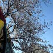 ヒメ日記 2026/04/07 11:05 投稿 風和（ふわ） 丸妻 錦糸町店