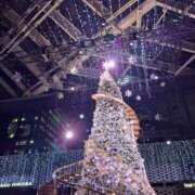 ヒメ日記 2025/12/25 22:36 投稿 にに 新宿・本格コスプレ美人秘書オフィスイメクラ「秘書課女子」