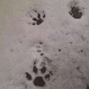 ヒメ日記 2026/02/08 14:17 投稿 森永【もりなが】 丸妻 西船橋店