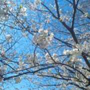 ヒメ日記 2026/04/05 19:14 投稿 森永【もりなが】 丸妻 西船橋店