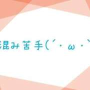 ヒメ日記 2025/12/01 15:06 投稿 福原かえで e女商事 池袋店