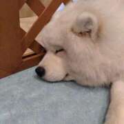 ヒメ日記 2025/12/20 14:30 投稿 うるは クリスタル セカンド