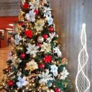 ヒメ日記 2025/12/24 07:30 投稿 うるは クリスタル セカンド