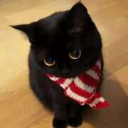 ヒメ日記 2025/12/16 15:29 投稿 そふぃ スピードエコ日本橋店