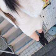 そふぃ そふぃ（エコ日本橋店） スピードエコ日本橋店