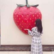 ヒメ日記 2026/04/24 16:45 投稿 姫　ここあ #性欲解放区