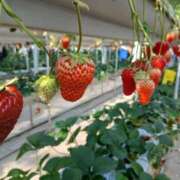 ヒメ日記 2026/02/28 21:23 投稿 しき 甲府人妻城