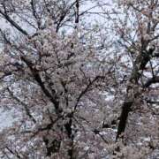 しき 夜風が… 甲府人妻城