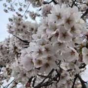 しき 困った〜 甲府人妻城