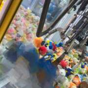 ヒメ日記 2026/02/06 14:05 投稿 堂島なのか コウテイ