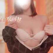 ヒメ日記 2026/02/13 18:25 投稿 堂島なのか コウテイ