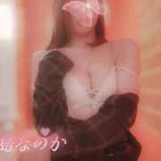 ヒメ日記 2026/02/16 17:41 投稿 堂島なのか コウテイ