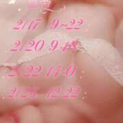 ヒメ日記 2026/02/17 11:17 投稿 堂島なのか コウテイ