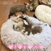 ヒメ日記 2026/02/22 20:18 投稿 堂島なのか コウテイ