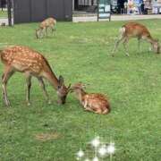 ヒメ日記 2026/02/24 09:49 投稿 堂島なのか コウテイ