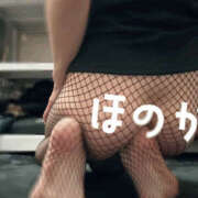 ヒメ日記 2026/01/13 15:30 投稿 ほのか 奥様クラブ