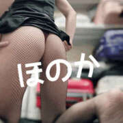 ヒメ日記 2026/02/19 12:15 投稿 ほのか 奥様クラブ