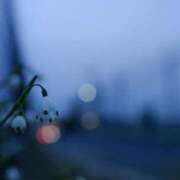 沢村つばさ 昨日は… 熟女パラダイス岐阜羽島店（カサブランカグループ）