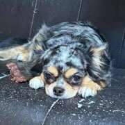 ヒメ日記 2026/01/20 07:55 投稿 えり 熟女の風俗最終章 錦糸町店