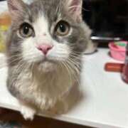 ヒメ日記 2026/01/21 12:35 投稿 えり 熟女の風俗最終章 錦糸町店