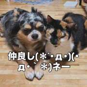 ヒメ日記 2026/01/25 07:55 投稿 えり 熟女の風俗最終章 錦糸町店