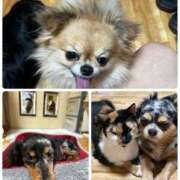 ヒメ日記 2026/02/15 09:17 投稿 えり 熟女の風俗最終章 錦糸町店