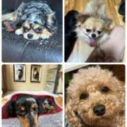 ヒメ日記 2026/02/21 07:25 投稿 えり 熟女の風俗最終章 錦糸町店