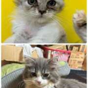 ヒメ日記 2026/02/21 12:05 投稿 えり 熟女の風俗最終章 錦糸町店