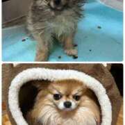 ヒメ日記 2026/03/06 10:25 投稿 えり 熟女の風俗最終章 錦糸町店