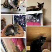 ヒメ日記 2026/03/08 09:05 投稿 えり 熟女の風俗最終章 錦糸町店