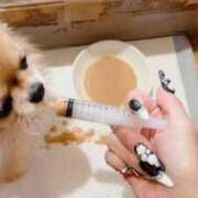 ヒメ日記 2026/03/11 06:15 投稿 えり 熟女の風俗最終章 錦糸町店