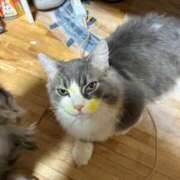 ヒメ日記 2026/03/12 04:25 投稿 えり 熟女の風俗最終章 錦糸町店